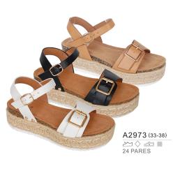 A2973