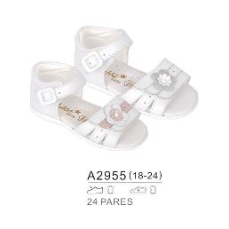 A2955